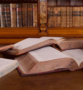 Adel Sadel, Law Office and Patent Attorney